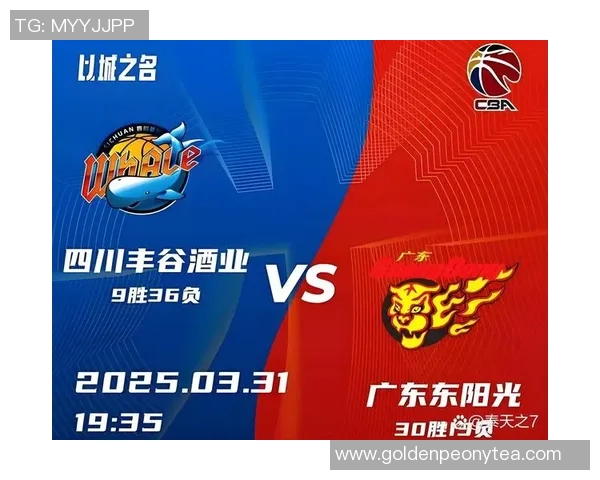 广东与新疆的精彩对决分析及双方实力对比展望